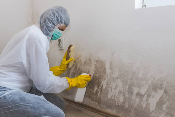 Crawl Space Mold Removal in Medulla, FL