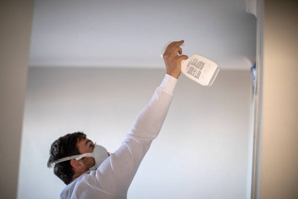Best Certified Mold Removal  in Medulla, FL