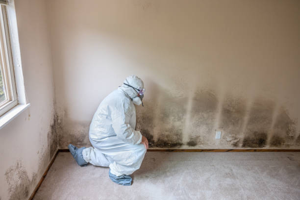 Best Residential Mold Removal  in Medulla, FL